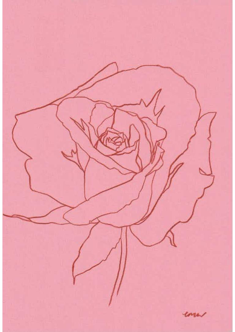Ce dessin fait partie d'une série de dessins botaniques au trait représentant les fleurs saisonnières des jardins anglais et de la campagne.

INFORMATIONS COMPLÉMENTAIRES :
Ellen Williams
Rose VIII
Dessin original - crayon de couleur sur papier A4