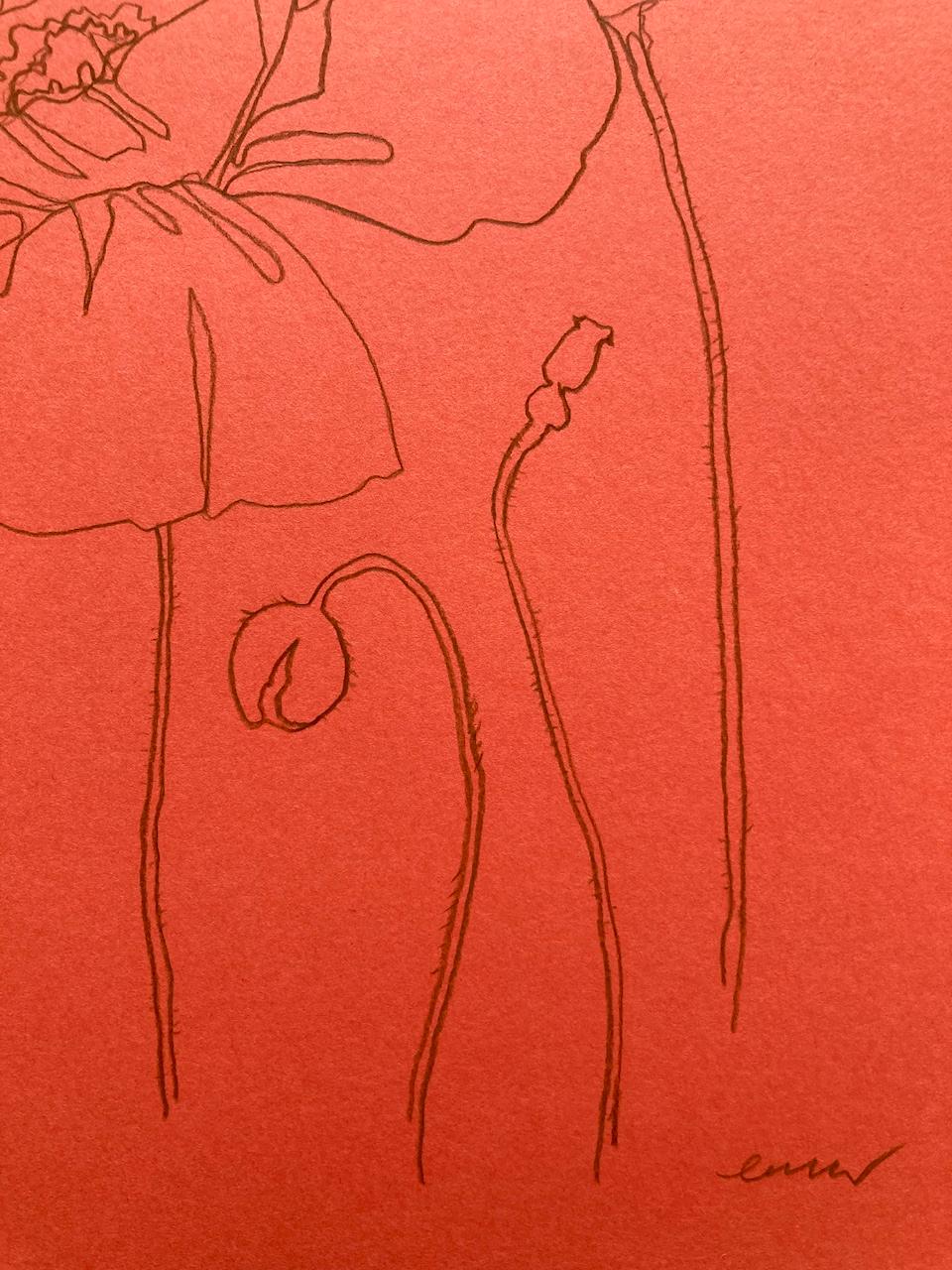 Ce dessin fait partie d'une série de dessins botaniques au trait représentant les fleurs saisonnières des jardins anglais et de la campagne.

INFORMATIONS COMPLÉMENTAIRES :
Crayon de couleur sur papier
Vendu sans cadre

Taille de l'image : 
Hauteur