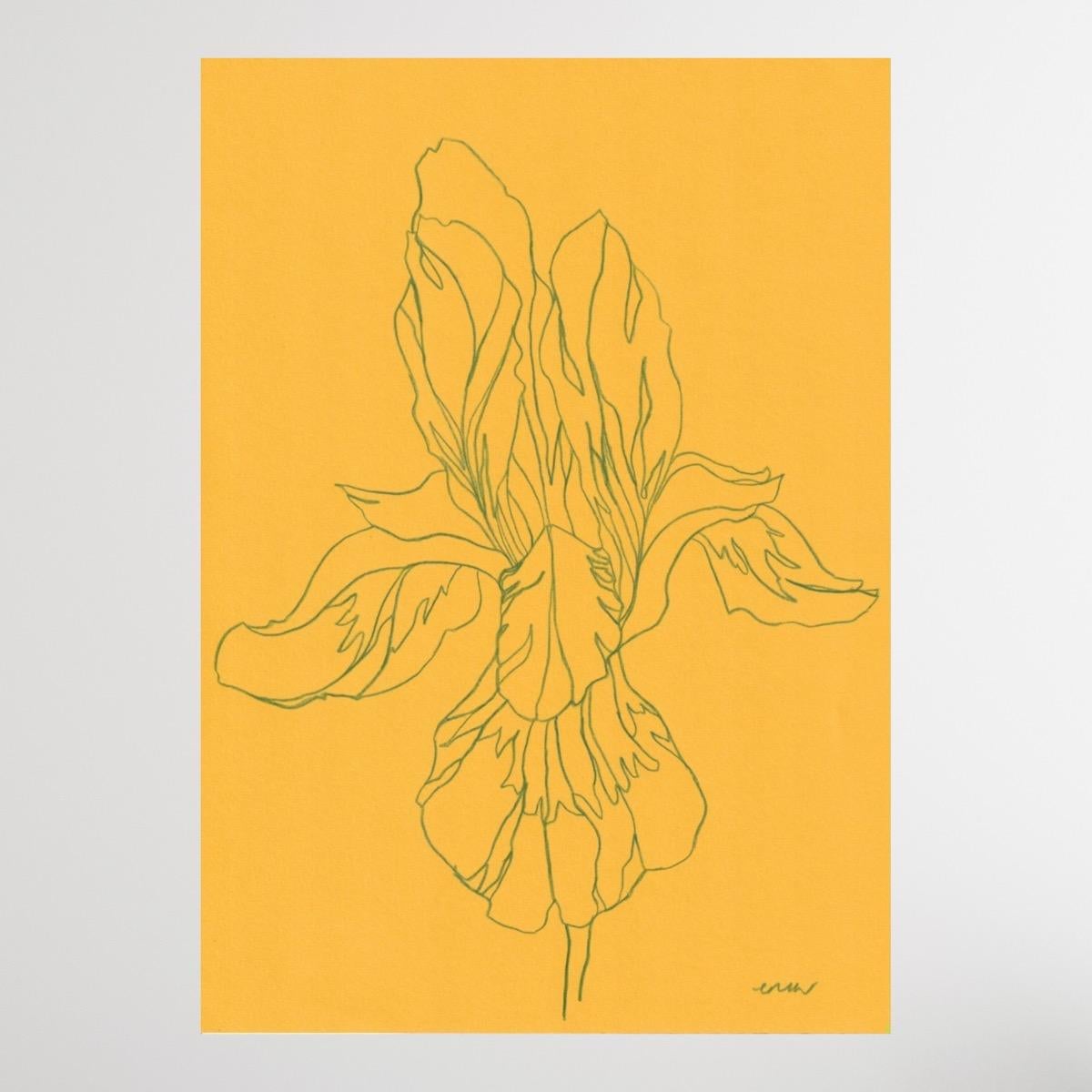 Iris VIII, Original art work with pencil, Floral, Flower, Nature  For Sale 1