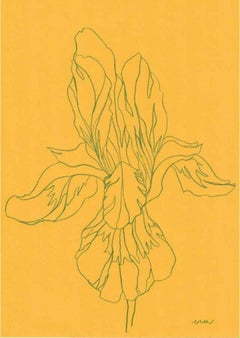 Iris VIII, œuvre d'art originale au crayon, Floral, Fleur, Nature 