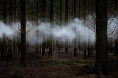 Entre les arbres 6 - Ellie Davies, Photographie, Paysage, Impression