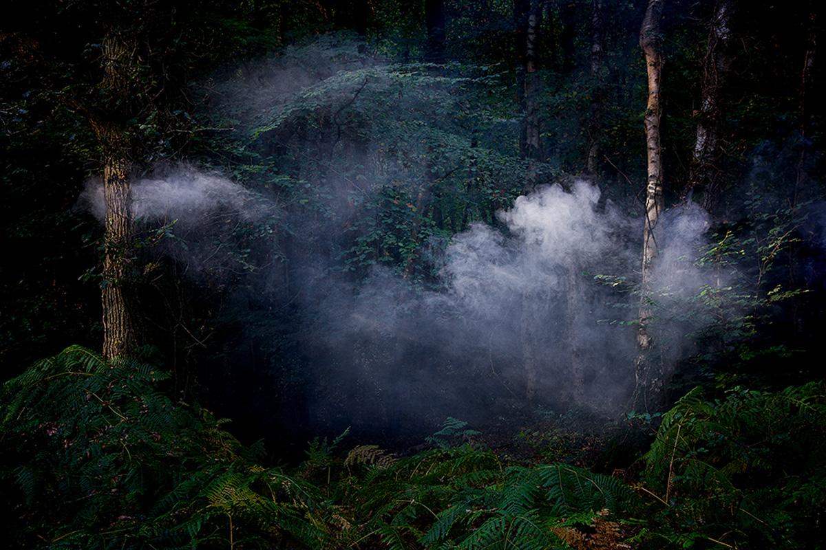 Landscape Photograph de Ellie Davies - Entre los árboles 7, 2014 - Fotografía digital tipo C de edición limitada