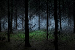 Between the Trees 8, 2014 - Edizione limitata con timbro digitale A.I.C.