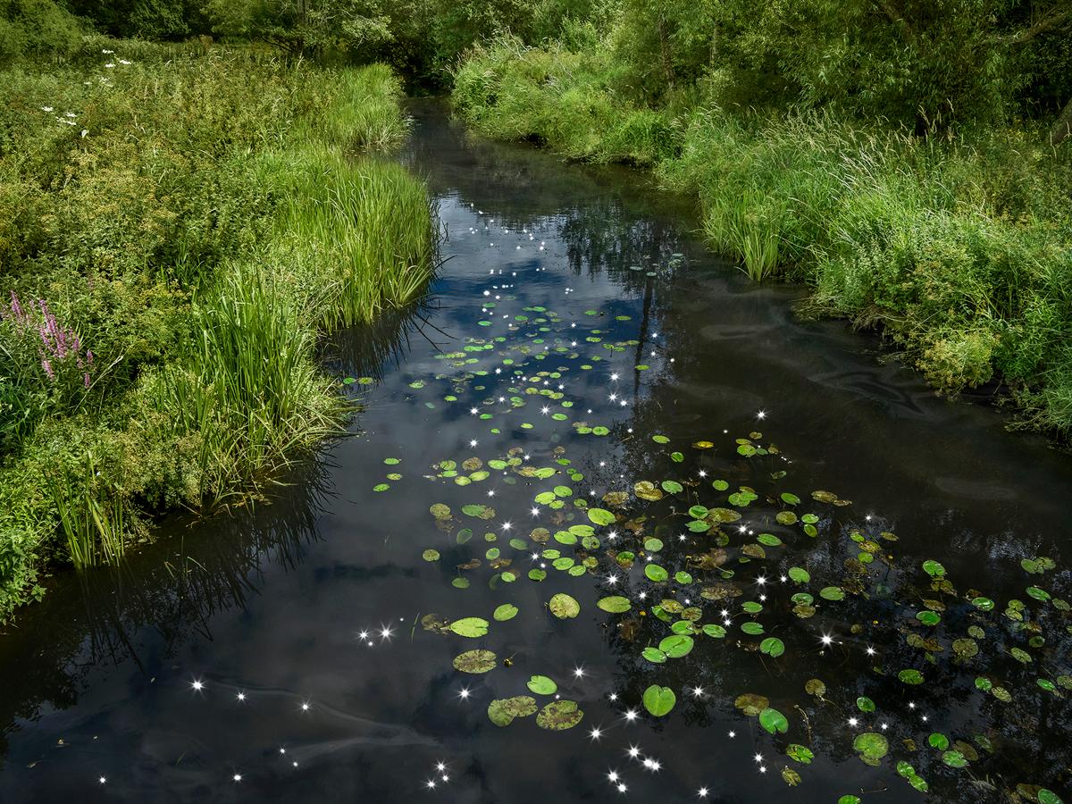 Chalk Streams 1, Ellie Davies – Naturfotografie, Wasser, Fluss, Landschaft