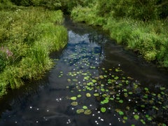 Chalk Streams 1, Ellie Davies - Nature Photograph, Water, River, Landscape
