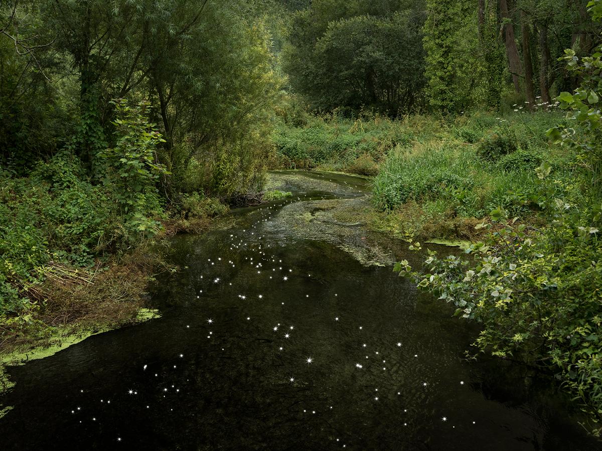 Color Photograph de Ellie Davies - Chalk Streams 10, 2023 - Fotografía digital tipo C de edición limitada en papel Fuji
