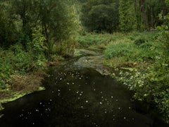 Chalk Streams 10, 2023 – Digitale C-Type-Fotografie in limitierter Auflage auf Fuji-Papier in limitierter Auflage