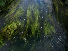 Chalk Streams 11, 2023 - Fotografía digital tipo C de edición limitada en papel Fuji