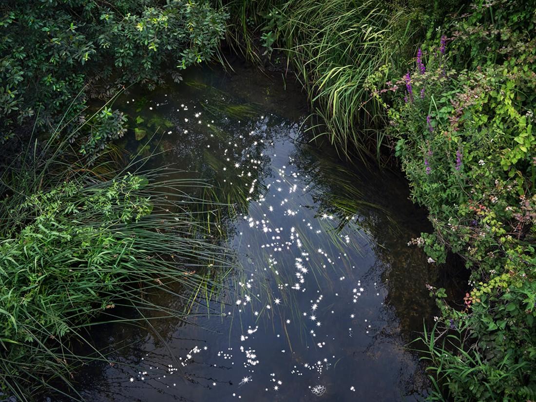 Landscape Photograph de Ellie Davies - Chalk Streams 12, 2023 - Fotografía digital tipo C de edición limitada en papel Fuji
