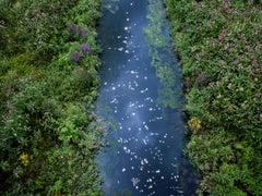 Chalk Streams 2, Ellie Davies - Nature Photograph, Water, River, Landscape