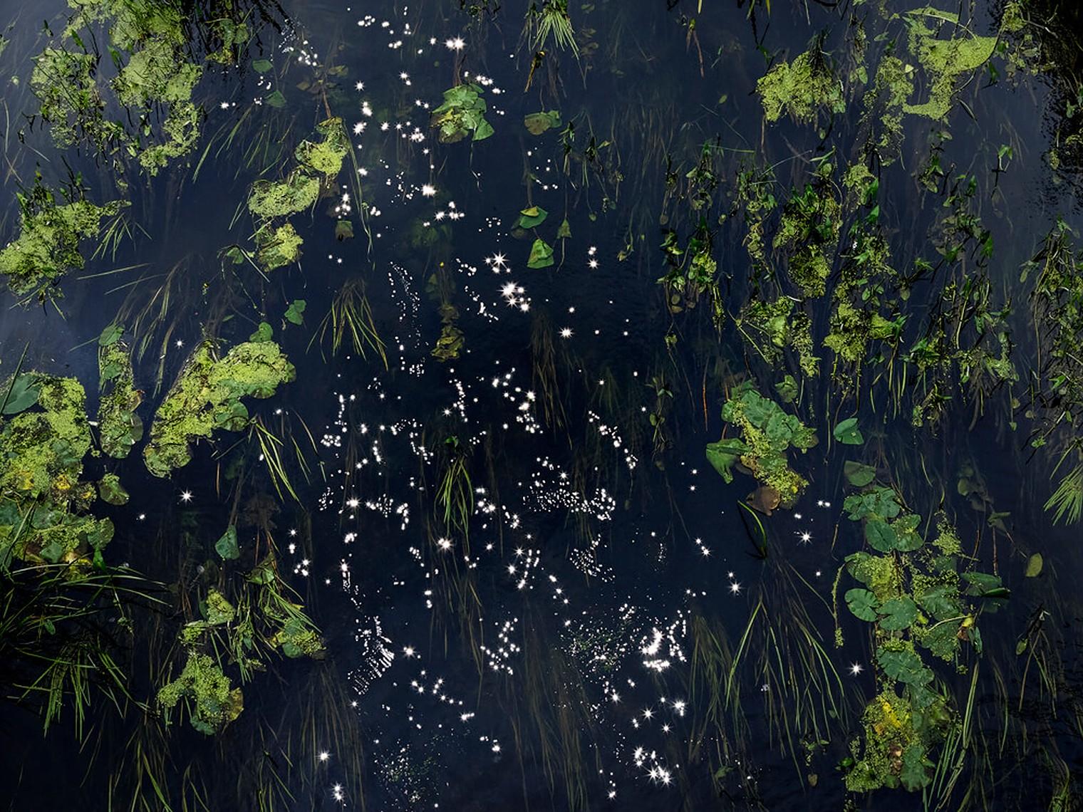 All prints are produced to order and lead times are expected between 15-20 days.

Chalk Streams 3 is a stunning C-Type Print on Fuji Crystal Archive Paper in Maxima Matte. This size print is available in an Edition of 7 + 2 Artist Proofs.

In her