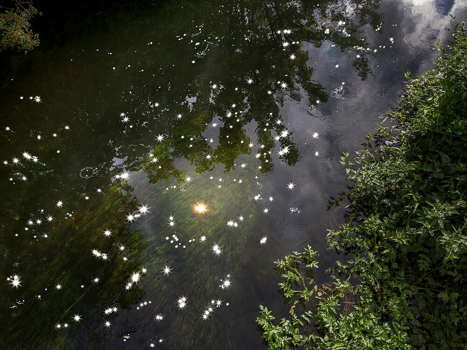 Chalk Streams 6, Ellie Davies - Photographie de nature, Photographie de couleur