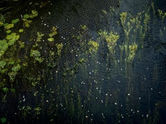 Chalk Streams 7, 2023 - Impression numérique de type C en édition limitée sur Fuji Maxima Matt