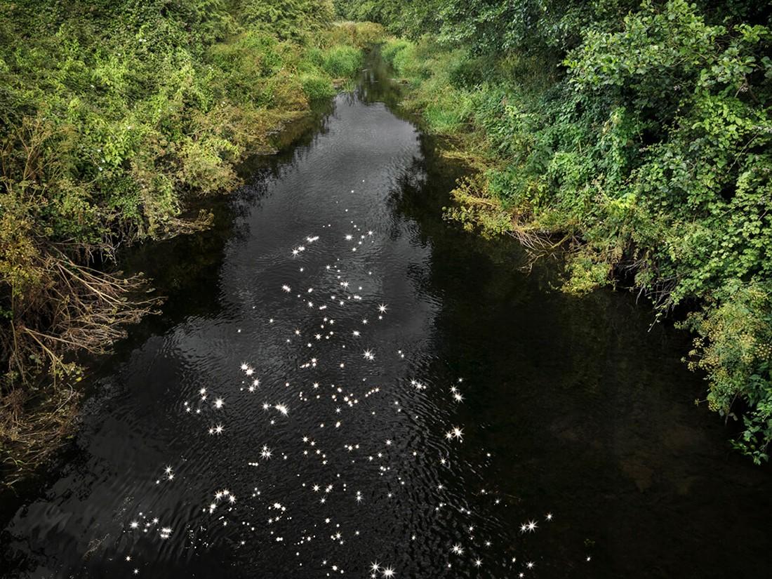 Landscape Photograph de Ellie Davies - Chalk Streams 8, 2023 - Edición limitada de impresión digital tipo C sobre Fuji Maxima Mate