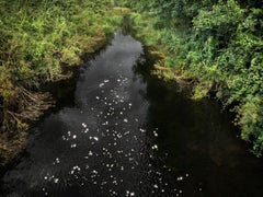Chalk Streams 8, 2023 – Digitaler C-Type-Druck in limitierter Auflage auf Fuji Maxima Matt