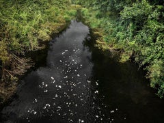 Chalk Streams 8, Ellie Davies - Landscape Photograph, Rivers, Water, Nature
