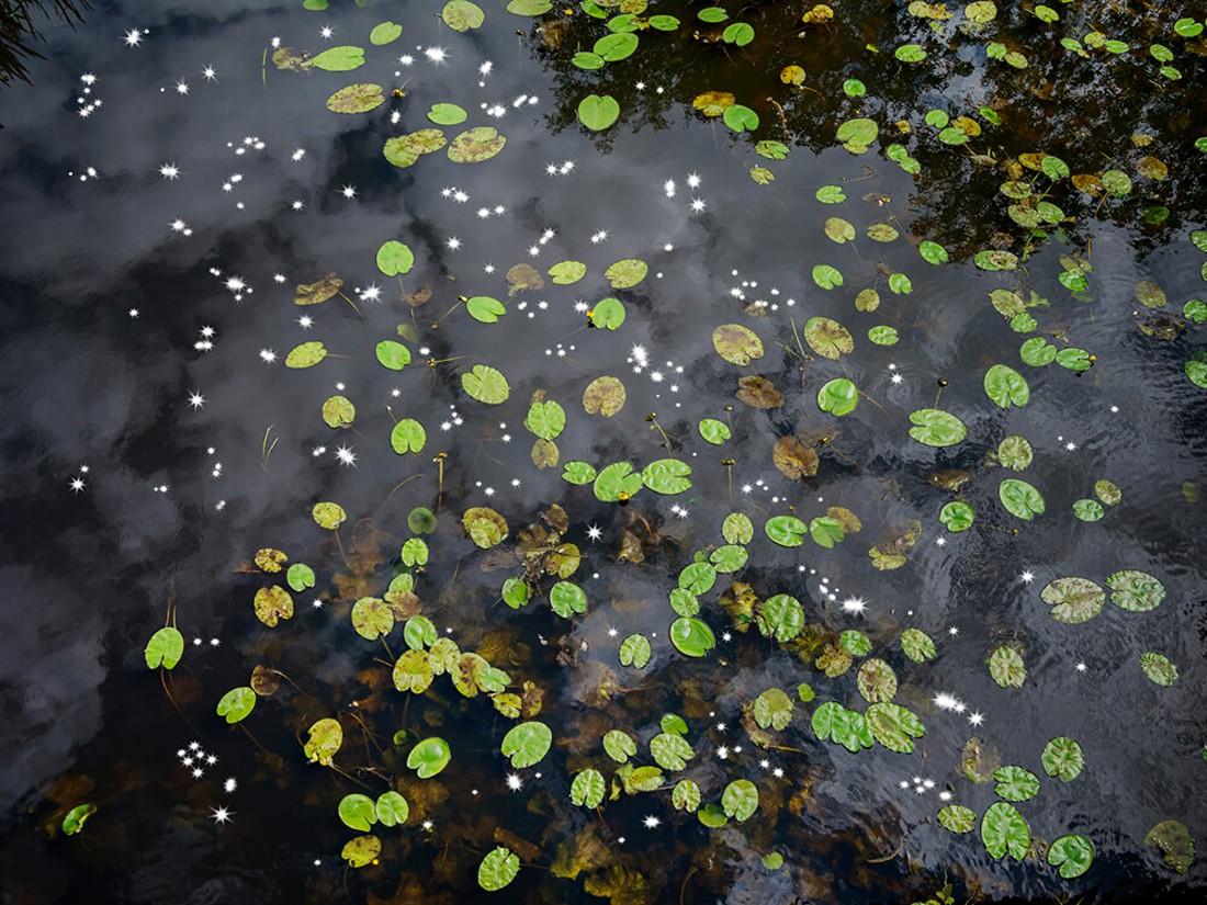 Chalk Streams 9, 2023 - Limited Edition Digital C-Type Print on Fuji Maxima Matt