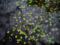 Chalk Streams 9, Ellie Davies - Landscape Photograph, Rivers, Water, Nature
