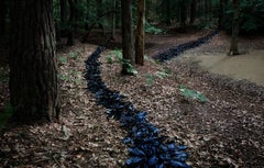 Come With Me 1, 2011 - Limited Edition Digital C-Type Photograph
