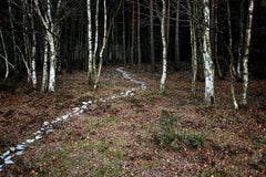 Come With Me 6, 2011 – Digitale C-Type-Fotografie in limitierter Auflage