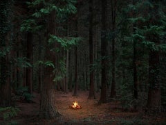 Fires 10, 2018 - Fotografía digital tipo C de edición limitada en papel Fuji