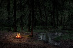 Fires 2 - Ellie Davies, Landscape, Contemporary Photography, Nature
