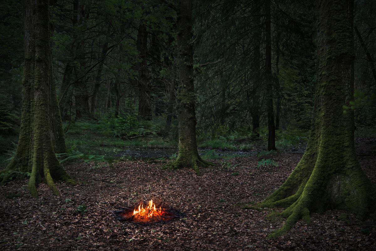 Les feux d'artifice 5 - Ellie Davies, Art britannique, Photographie, paysage, nature, feu, arbres