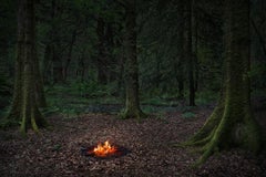 Fires 5 - Ellie Davies, British Art, Photography, Landscape, Nature, Fire, Trees