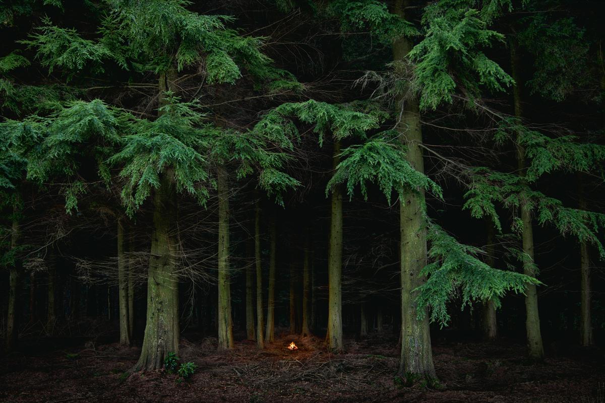 Fires 7 - Ellie Davies, Fotografie, Druck, Landschaft