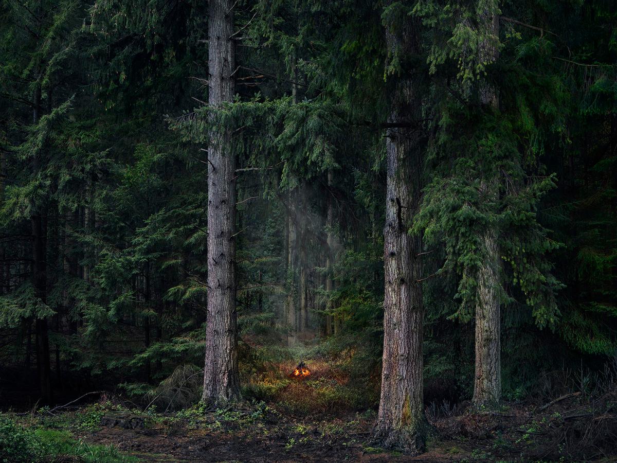 Fires 9, 2018 - Photographie numérique de type C en édition limitée sur papier Fuji
