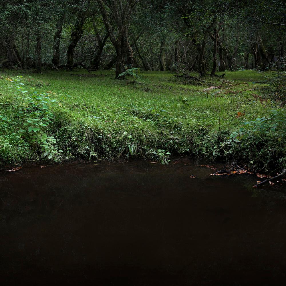 Color Photograph de Ellie Davies - Half Light 3, 2016 - Fotografía digital tipo C de edición limitada en papel Fuji