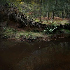 Half Light 6, 2016 – Digitale C-Type-Fotografie in limitierter Auflage auf Fuji-Papier