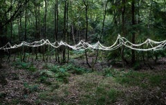 Knit One, Pearl One 1 - Ellie Davies, Landscapes, Plants, Forests, Nature, Photo