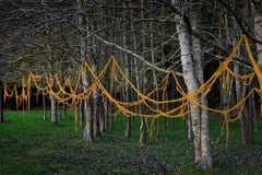 Knit One, Pearl One 2 - Ellie Davies, Knitting, British, Forests, Plants, Art