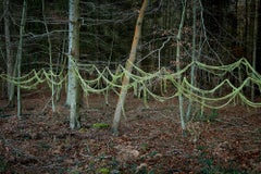 Knit One, Pearl One 3 - Ellie Davies, Landscape, Forests, Landscape, Plants