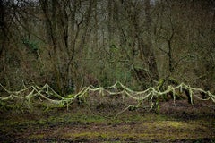 Knit One, Pearl One 5 - Ellie Davies, Knitting, Landscapes, Forest, Plants