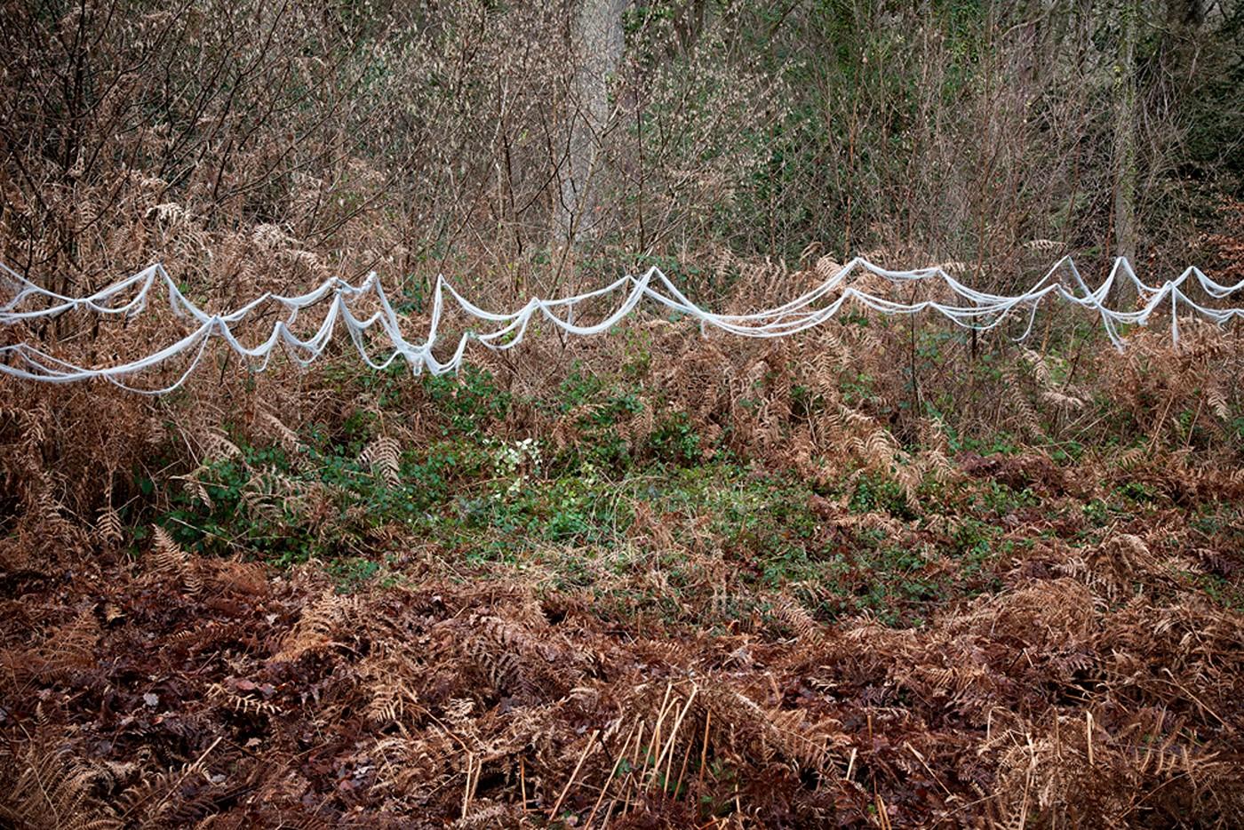 Ellie Davies Landscape Photograph – Eins, Perle One 8, 2011 – Digitale C-Type-Fotografie in limitierter Auflage