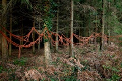 Knit One, Pearl One 9 - Ellie Davies, British, Landscape, Nature, Forests, Land