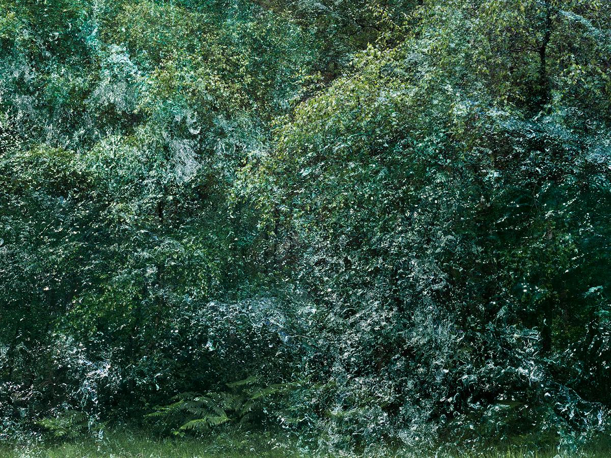 Paisajes marinos 6 es una impresionante Impresión Digital Tipo C sobre papel Fuji Máxima Mate, disponible en este tamaño de una Edición Limitada de 7 + 2 Pruebas de Artista.
 
Ellie lleva siete años trabajando en los bosques del Reino Unido,
