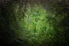Stars 10 - Ellie Davies, Contemporary Landscape, Night sky, Photography, Nature