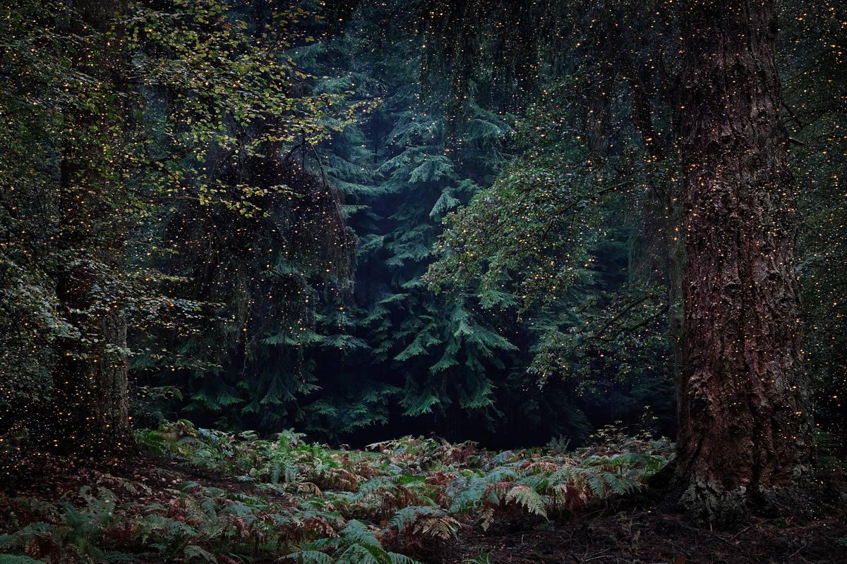 Stars 13, 2015 - Limited Edition Digital C-Print Photograph on Fuji Paper