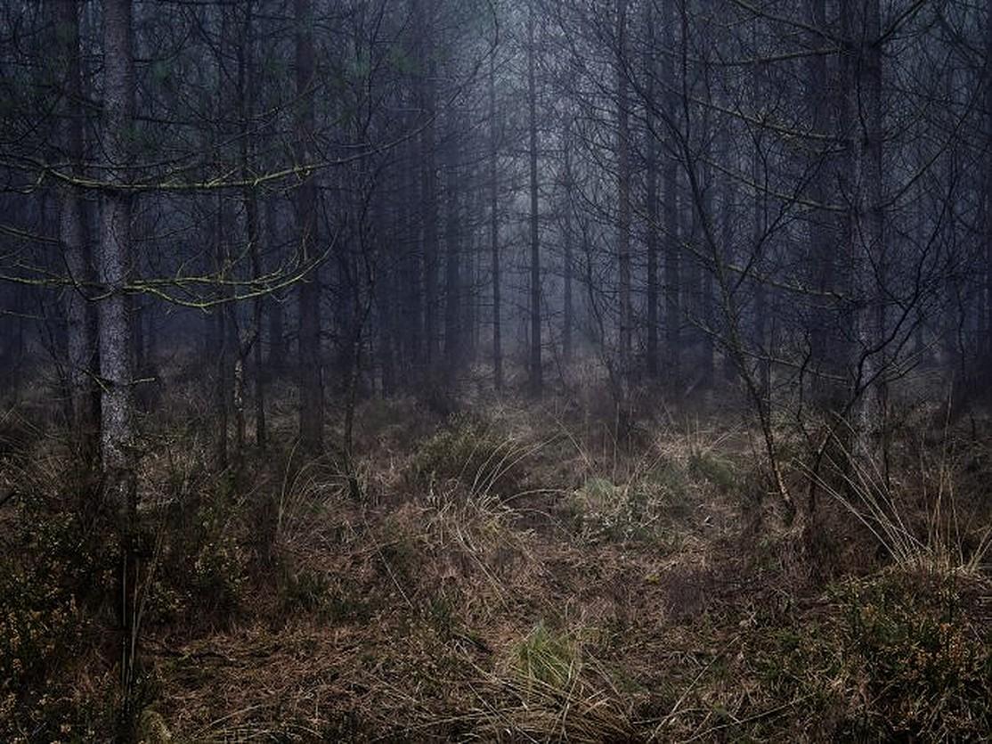 Stillness 4, 2011 - Limited Edition C-Type Photography
