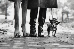 Dog Legs, New York City