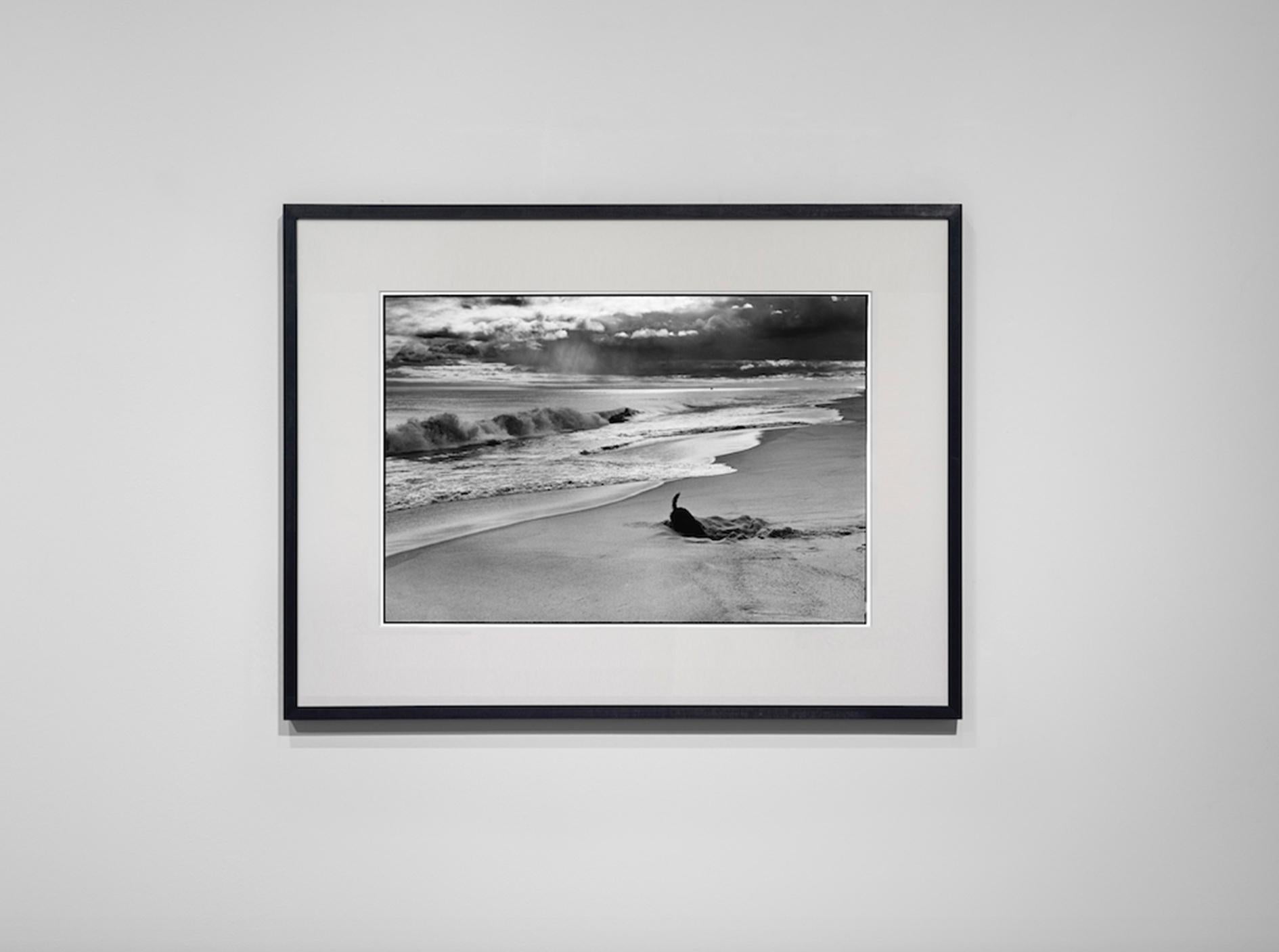 East Hampton, New York, 1998 – Elliott Erwitt (Fotografie in Schwarz-Weiß) im Angebot 1