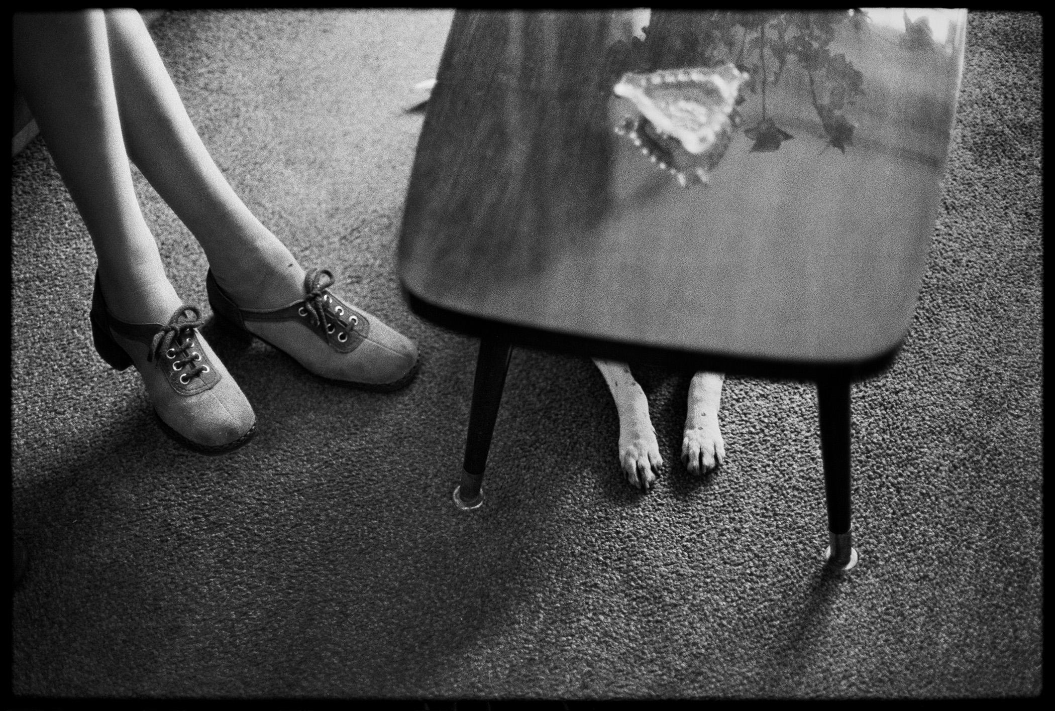 Elliott Erwitt Dogs photograph Amsterdam, 1973:
“Dogs have more to do than children. For one thing, they are forced to lead a life that is really schizoid. Every minute, they have to live on two planes at once, juggling the dog world against the