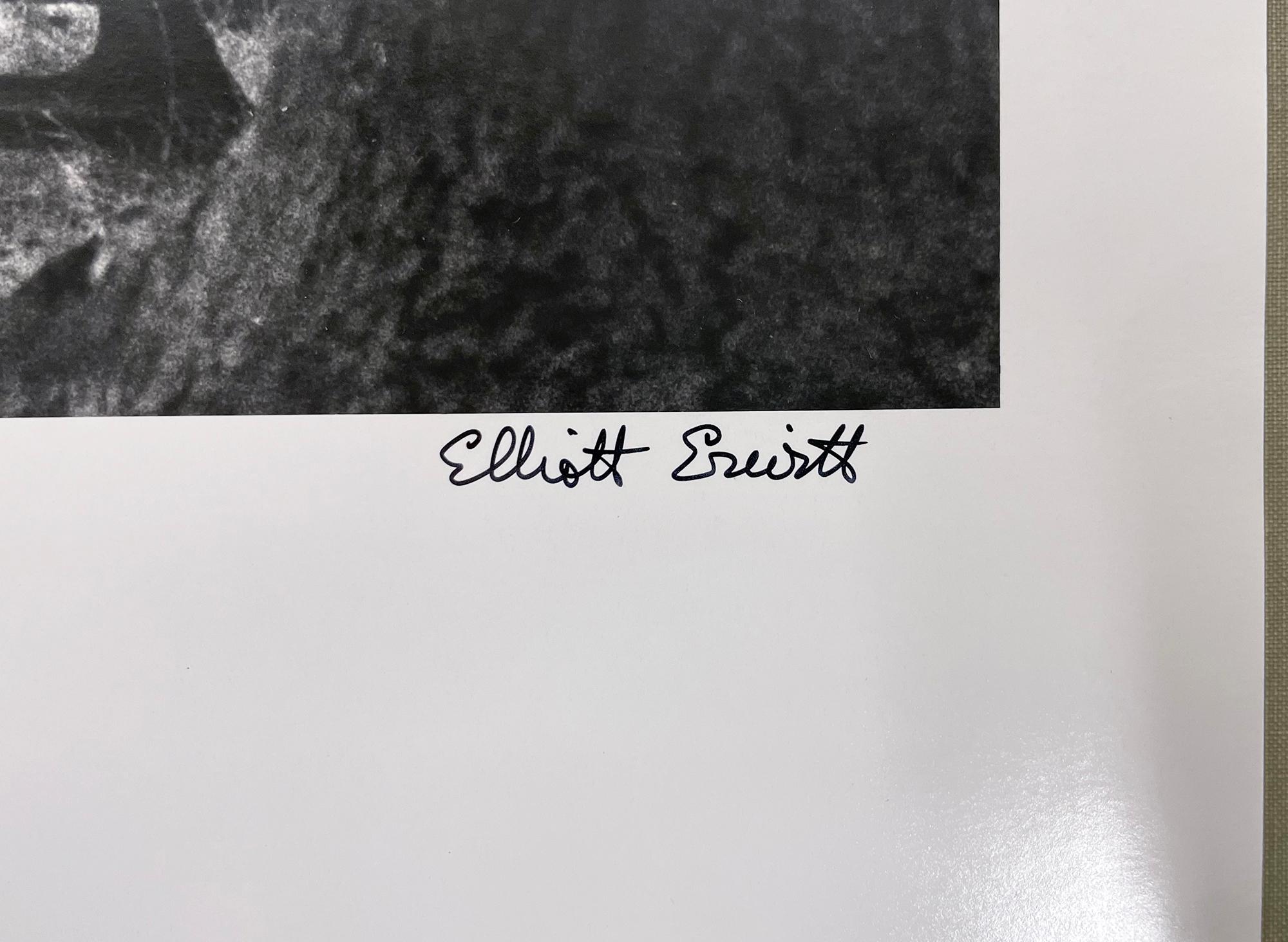 Kent, Inghilterra - Fotografia in bianco e nero, nudo, parco, panchina, persone - Black and White Photograph Nero di Elliott Erwitt