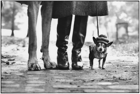 New York City, 1974 - Elliott Erwitt (Black and White Photography)
Signed, inscribed with title and dated on accompanying artist’s label
Silver gelatin print, printed later

Available in four sizes:
11 x 14 inches
16 x 20 inches
20 x 24 inches
30 x
