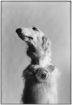 New York City, 1999 - Elliott Erwitt (Schwarz-Weiß-Fotografie)