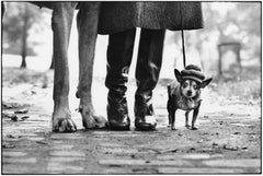 Vintage New York City (Dog Legs)