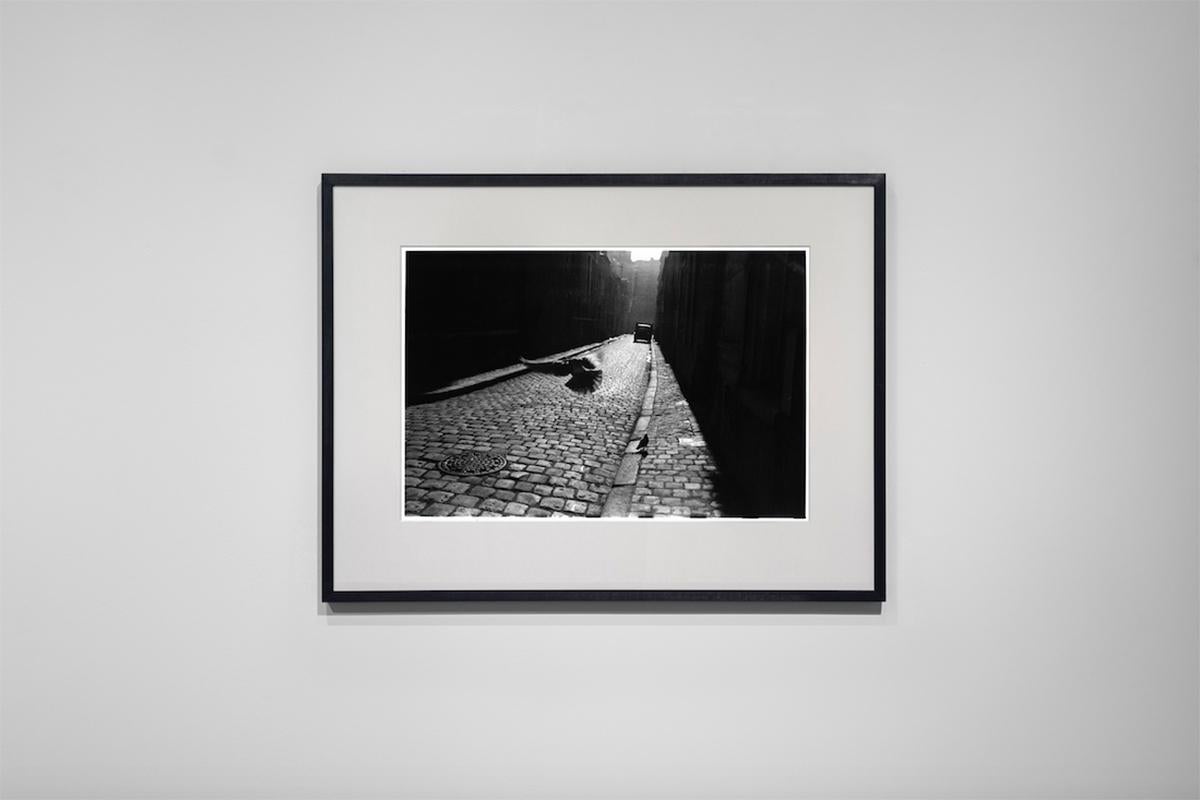 Orleans, France, 1952  - Elliott Erwitt (Black and White Photography) For Sale 1
